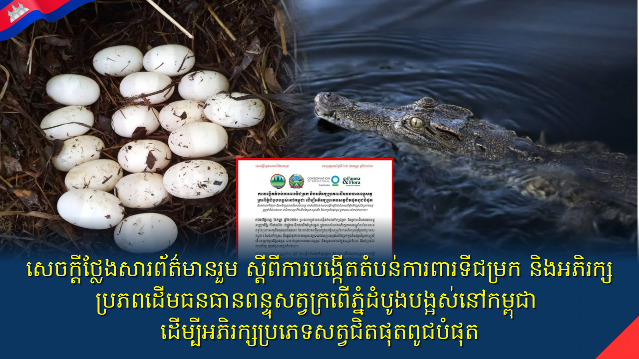សេចក្តីថ្លែងសារព័ត៌មានរួម ស្តីពីការបង្កើតតំបន់ការពារទីជម្រក និងអភិរក្សប្រភពដើមធនធានពន្ទុសត្វក្រពើភ្នំដំបូងបង្អស់នៅកម្ពុជា ដើម្បីអភិរក្សប្រភេទសត្វជិតផុតពូជបំផុត